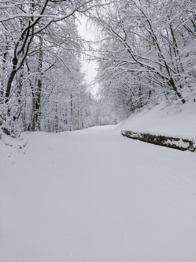 Gran Paradiso Alpette المظهر الخارجي الصورة