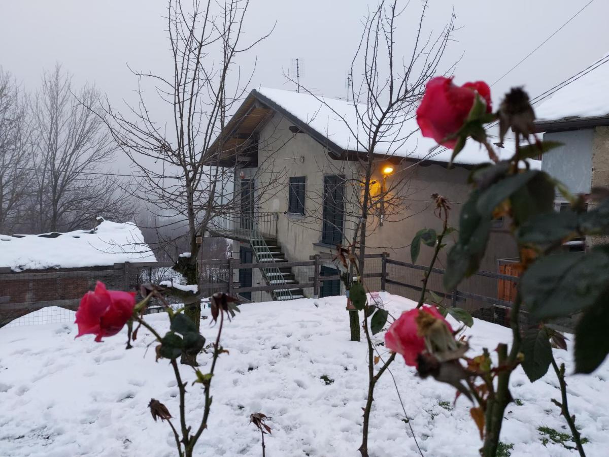Gran Paradiso Alpette المظهر الخارجي الصورة
